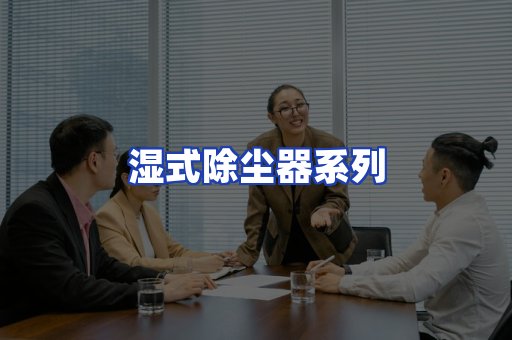 湿式除尘器系列